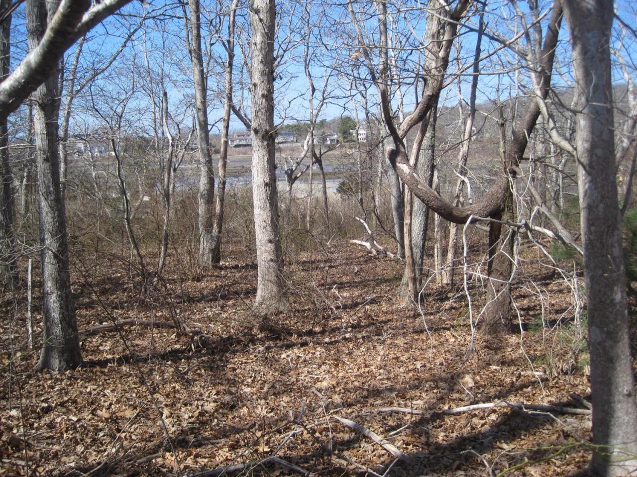 15 Jae Road Falmouth, MA 02556 - Photo 2 of 13 a backyard of a house with lots of green space
