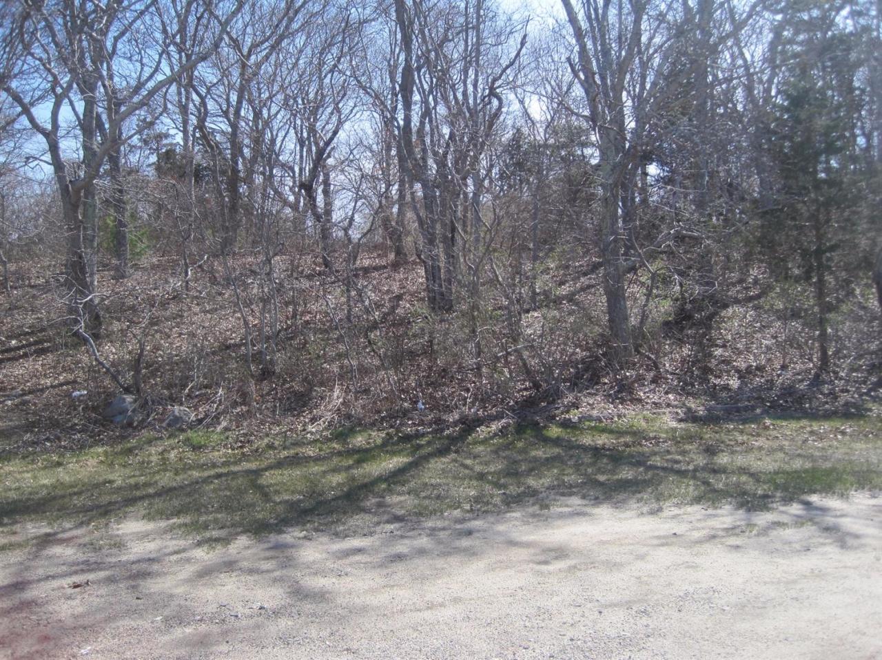 15 Jae Road Falmouth, MA 02556 - Photo 3 of 13 a view of a forest with trees in the background