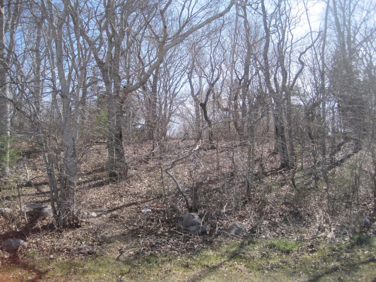 15 Jae Road Falmouth, MA 02556 - Photo 4 of 13 a view of forest