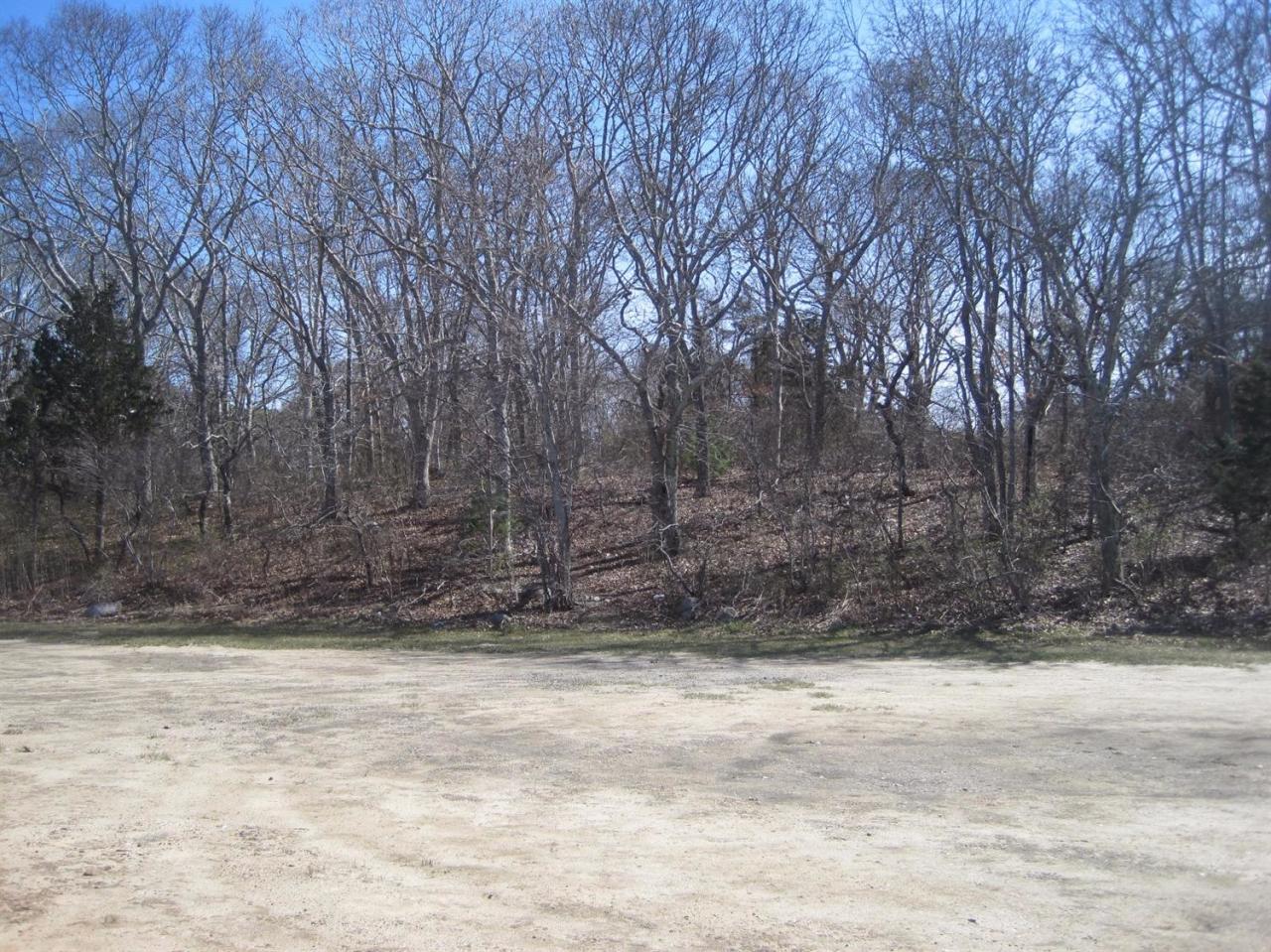 15 Jae Road Falmouth, MA 02556 - Photo 5 of 13 a view of tree in a yard