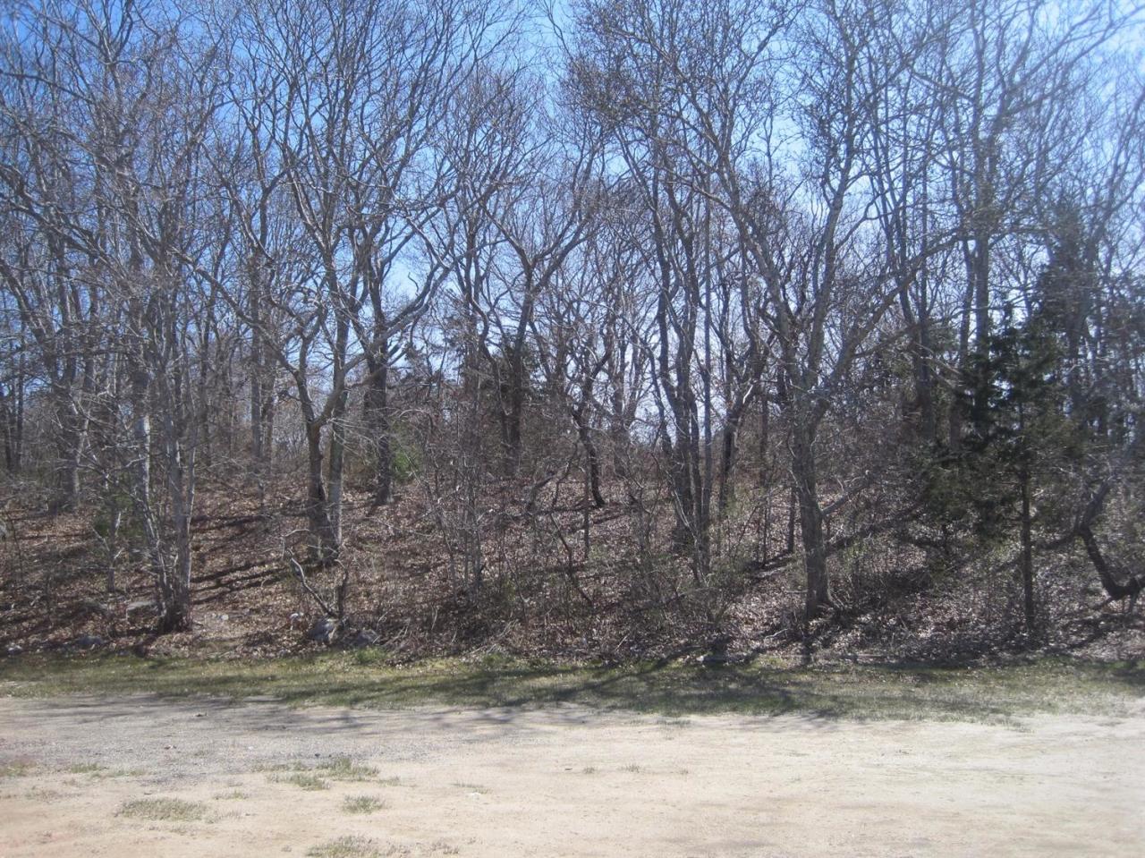 15 Jae Road Falmouth, MA 02556 - Photo 6 of 13 a view of a yard