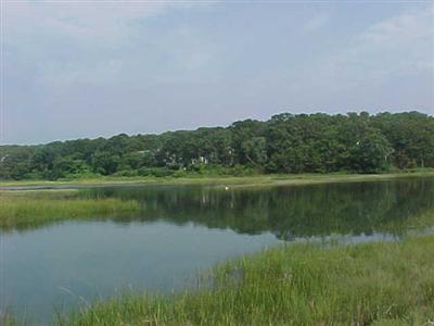 15 Jae Road Falmouth, MA 02556 - Photo 8 of 13 a view of a lake in middle of forest