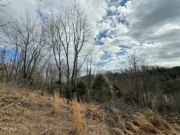 $42,000 | 3 Charles Johnson Road, Unit 3, Chuckey, TN 37641