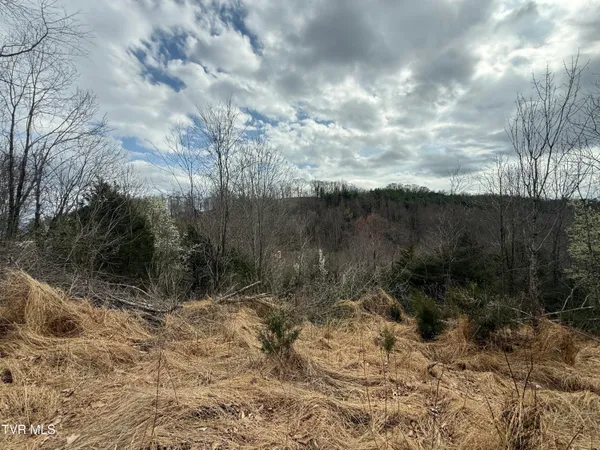 $42,000 | 3 Charles Johnson Road, Unit 3, Chuckey, TN 37641