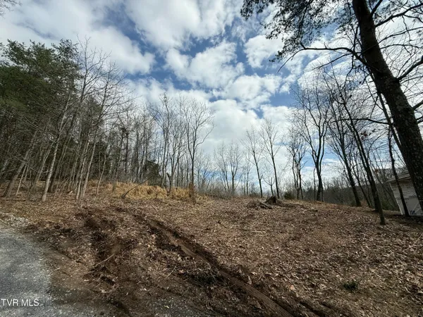 $42,000 | 3 Charles Johnson Road, Unit 3, Chuckey, TN 37641