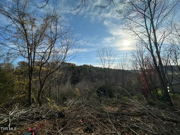 $42,000 | 3 Charles Johnson Road, Unit 3, Chuckey, TN 37641