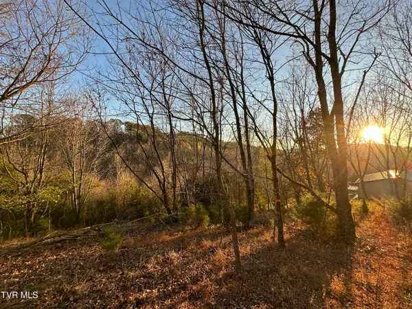 $42,000 | 3 Charles Johnson Road, Unit 3, Chuckey, TN 37641