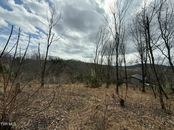 $42,000 | 3 Charles Johnson Road, Unit 3, Chuckey, TN 37641