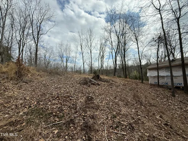 $42,000 | 3 Charles Johnson Road, Unit 3, Chuckey, TN 37641