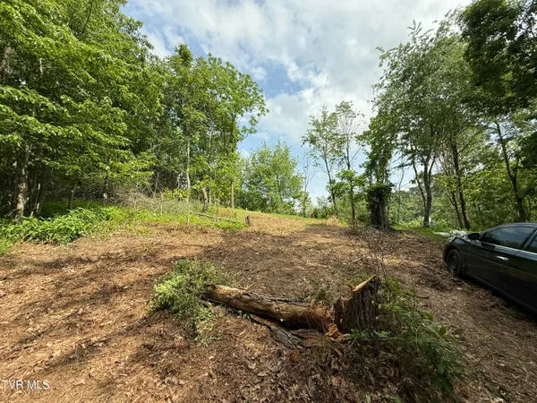 $42,000 | 3 Charles Johnson Road, Unit 3, Chuckey, TN 37641