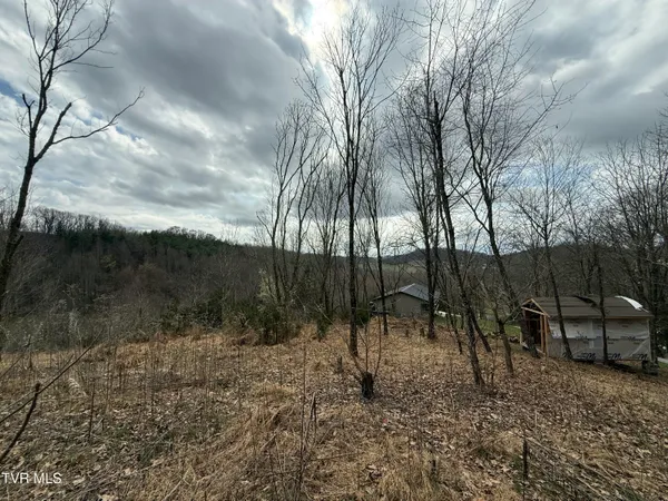 $42,000 | 3 Charles Johnson Road, Unit 3, Chuckey, TN 37641