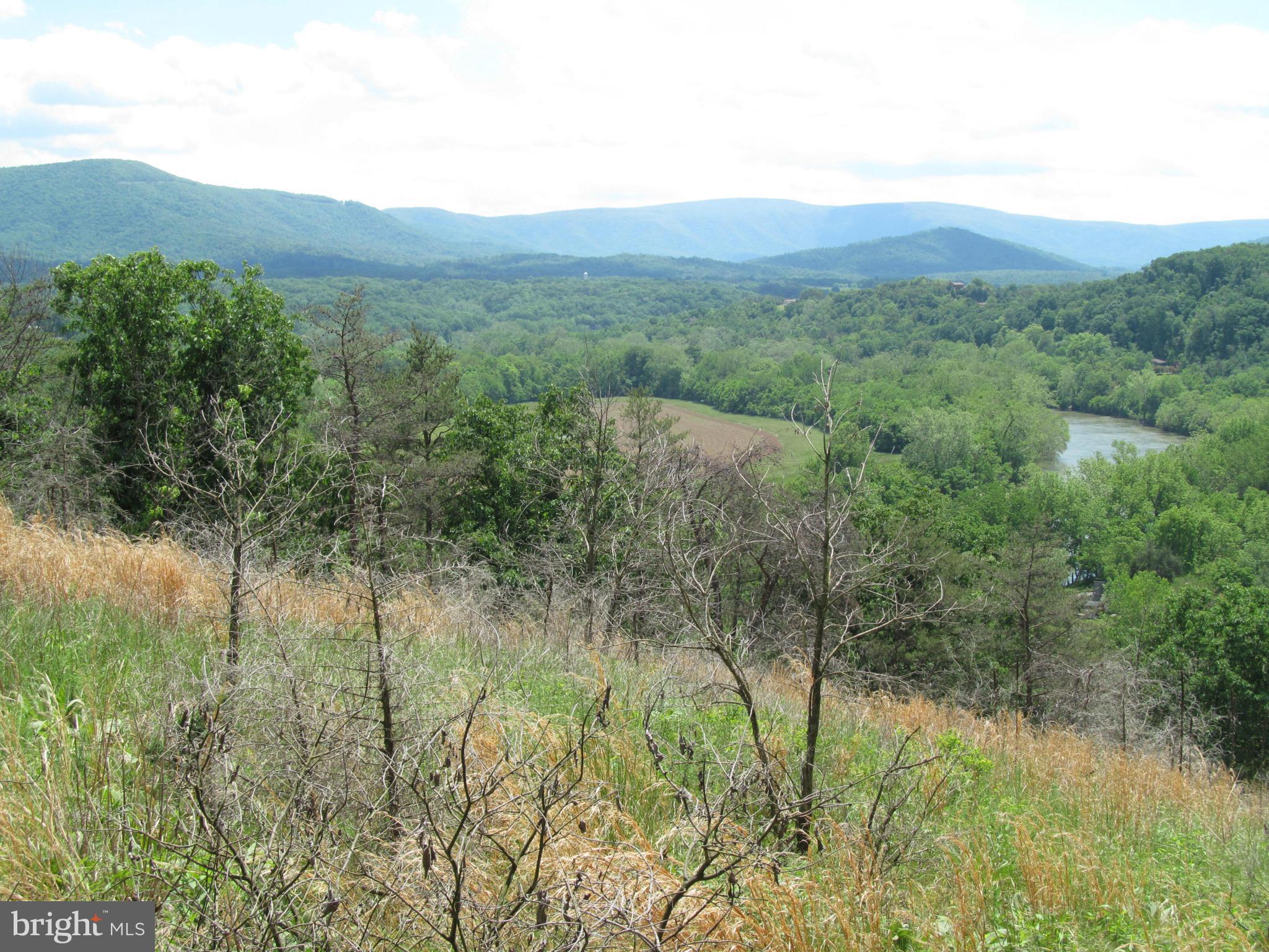 0 Sunset Village Road Front Royal, VA 22630 - Photo 3 of 11 South View