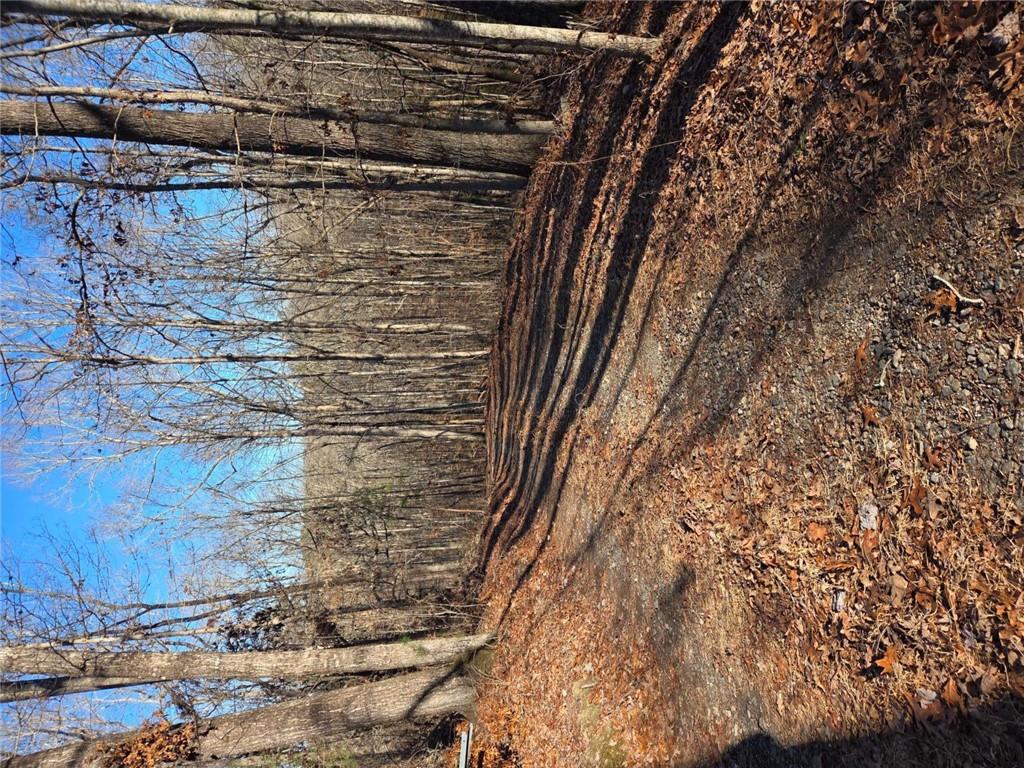 408 Apple Ridge 1 Dawsonville, GA 30534 - Photo 25 of 35 a view of a backyard of the house
