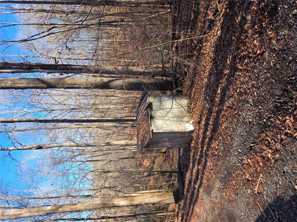 408 Apple Ridge 1 Dawsonville, GA 30534 - Photo 27 of 35 a view of a yard with trees