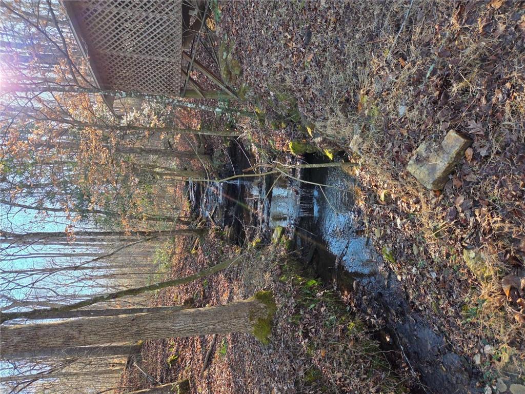 408 Apple Ridge 1 Dawsonville, GA 30534 - Photo 30 of 35 a view of a yard with plants and trees