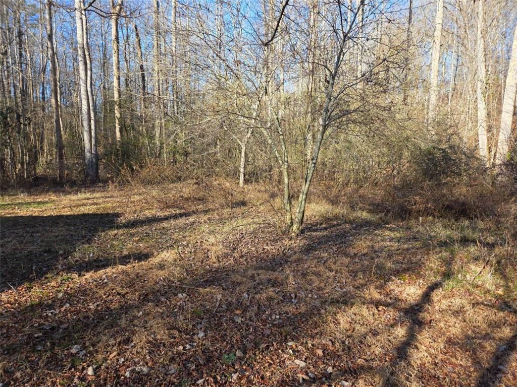 408 Apple Ridge 1 Dawsonville, GA 30534 - Photo 31 of 35 a view of a yard with trees