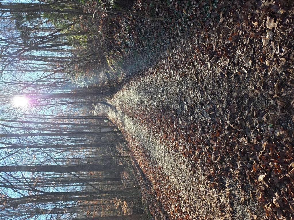 408 Apple Ridge 1 Dawsonville, GA 30534 - Photo 32 of 35 a view of outdoor space and a yard