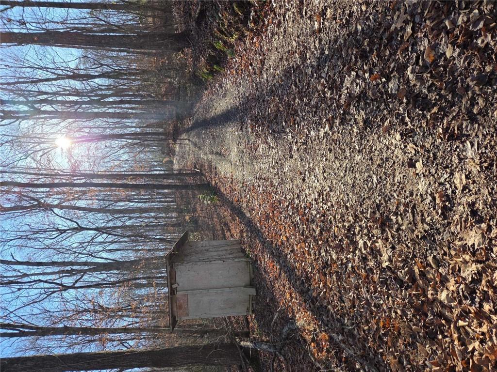 408 Apple Ridge 1 Dawsonville, GA 30534 - Photo 33 of 35 a backyard of a house with lots of green space
