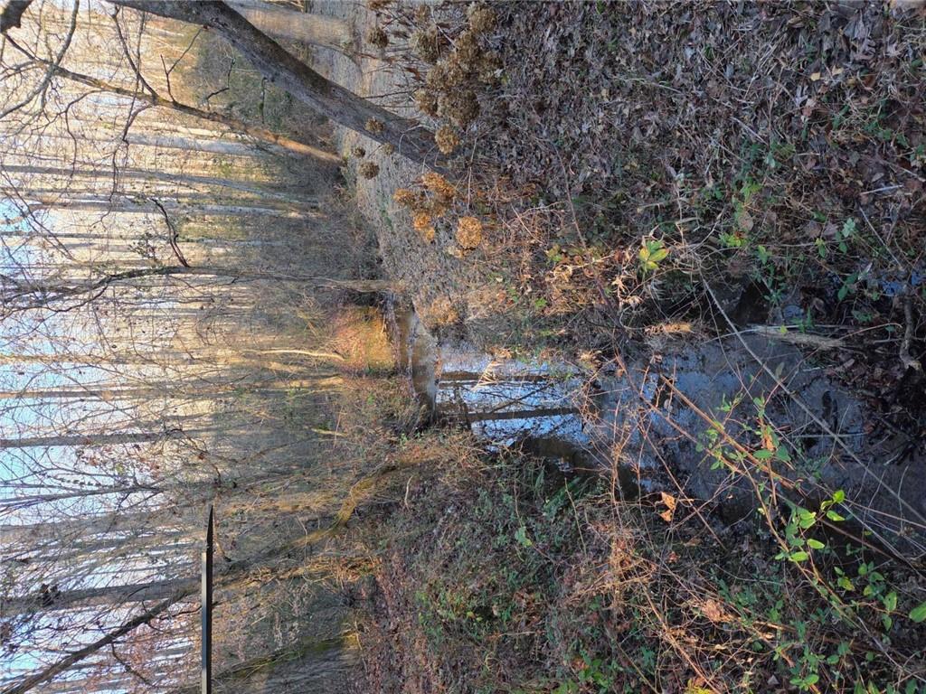 408 Apple Ridge 1 Dawsonville, GA 30534 - Photo 35 of 35 a view of a yard with large trees
