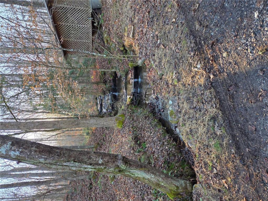 408 Apple Ridge 1 Dawsonville, GA 30534 - Photo 4 of 35 a backyard of a house with lots of green space