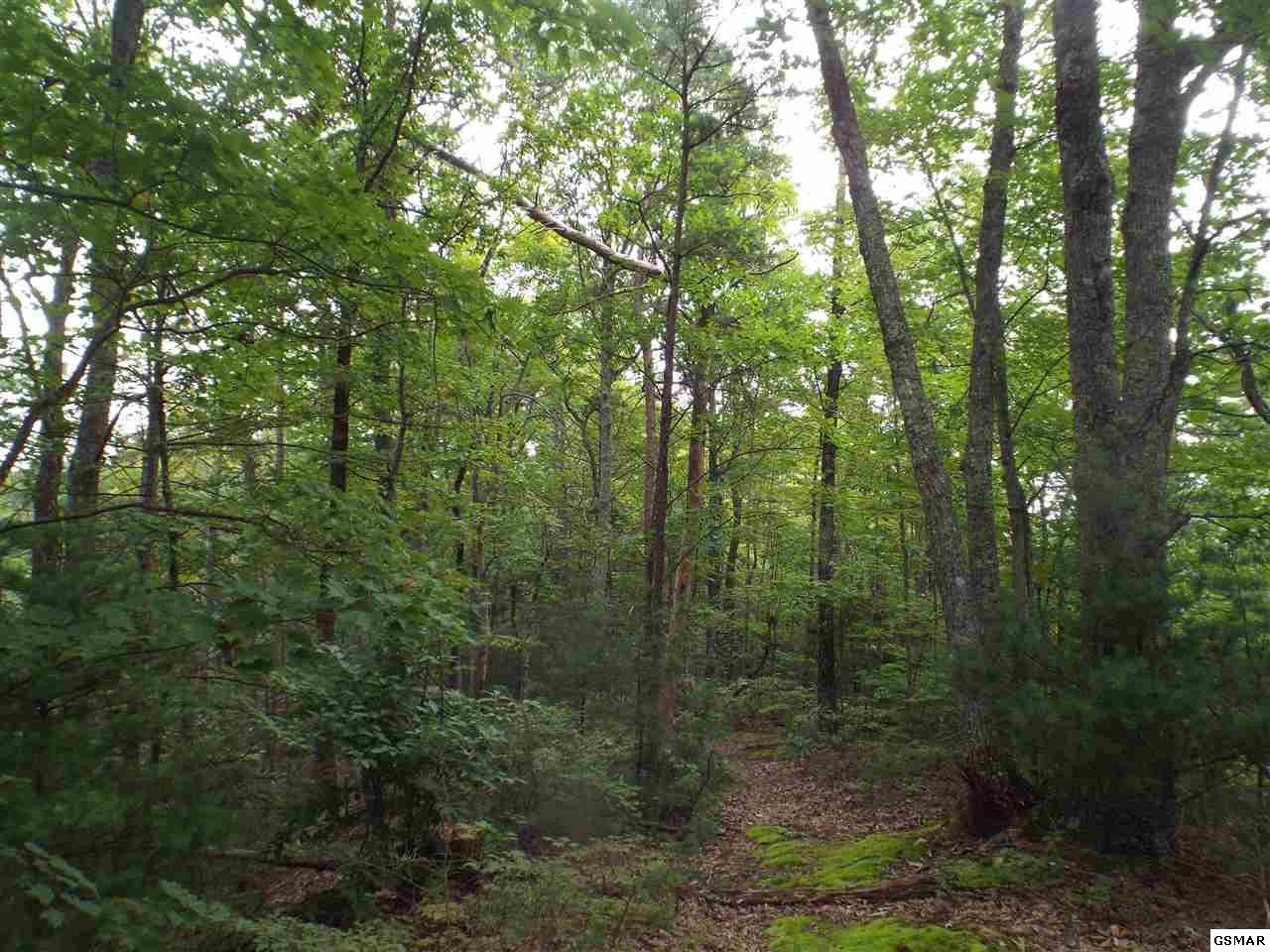 0 Huskey Grove Road Sevierville, TN 37876 - Photo 8 of 11