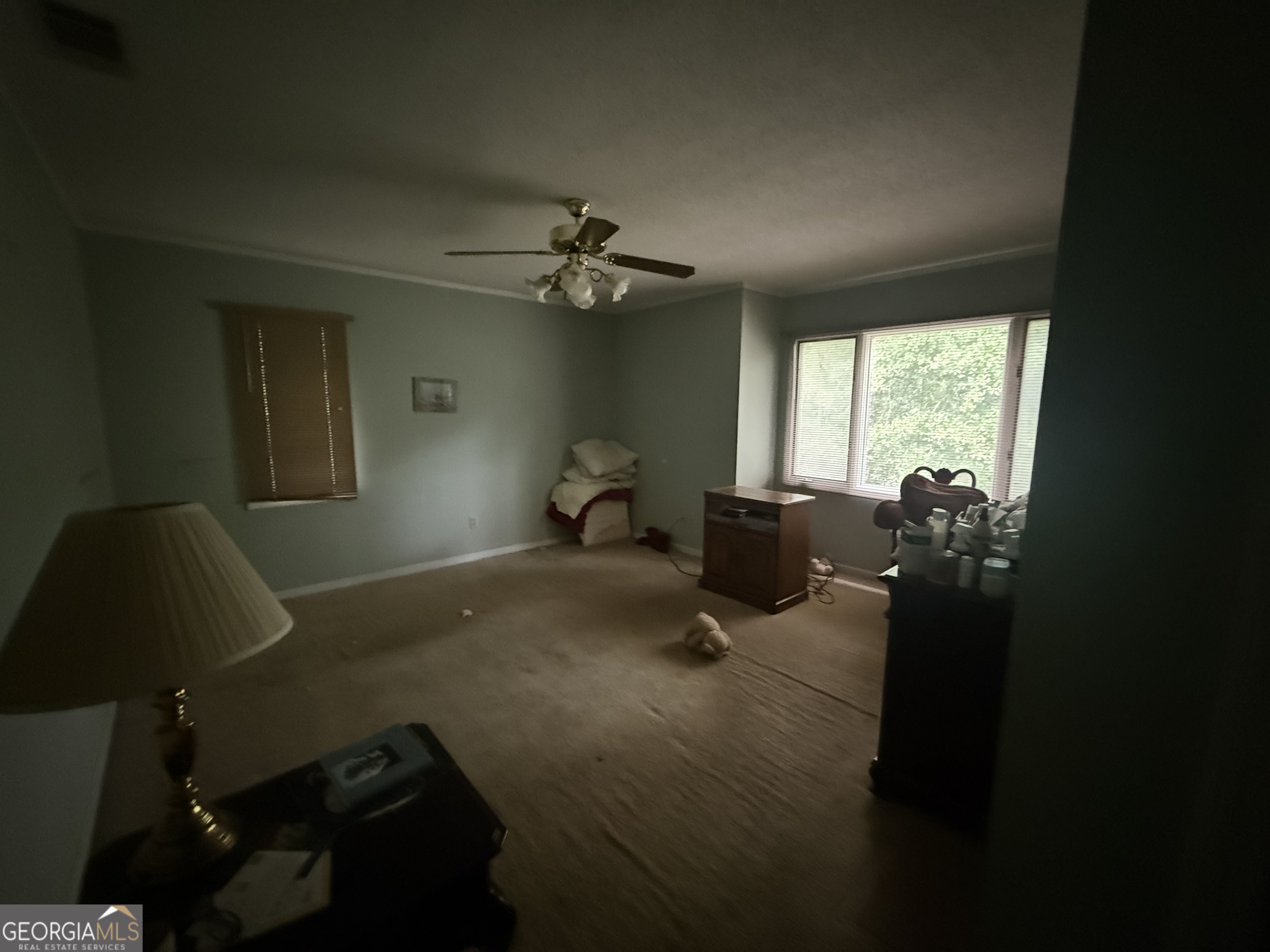 4680 Pulaski Road Statesboro, GA 30458 - Photo 17 of 18