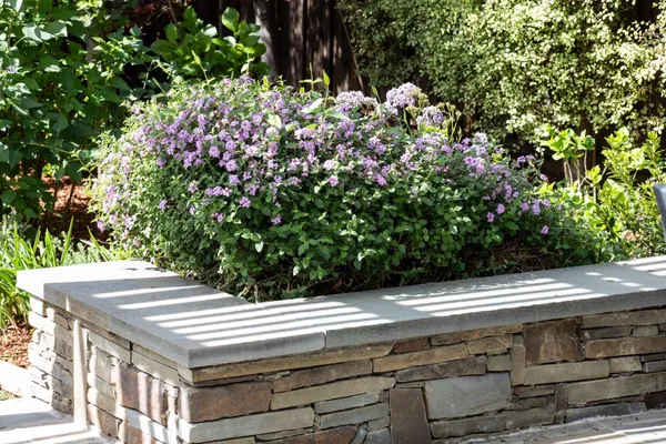 $4,850,000 | 384 Hawthorne Avenue, Los Altos, CA 94022