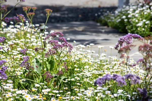 $4,850,000 | 384 Hawthorne Avenue, Los Altos, CA 94022