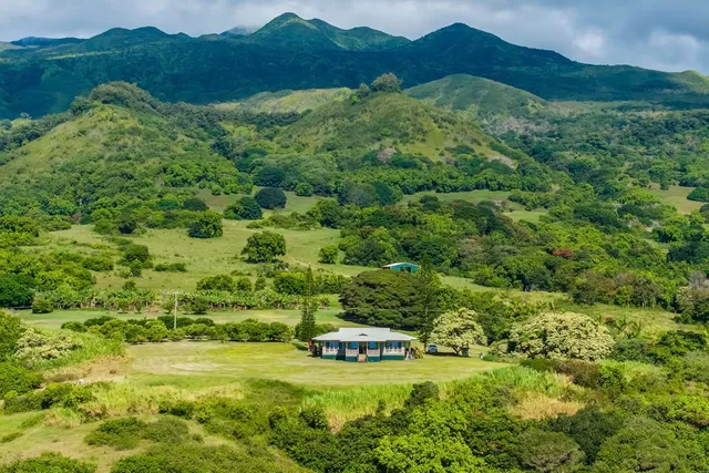a view of outdoor space with deck and yard