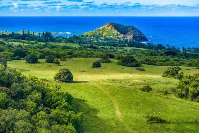 a view of a large yard