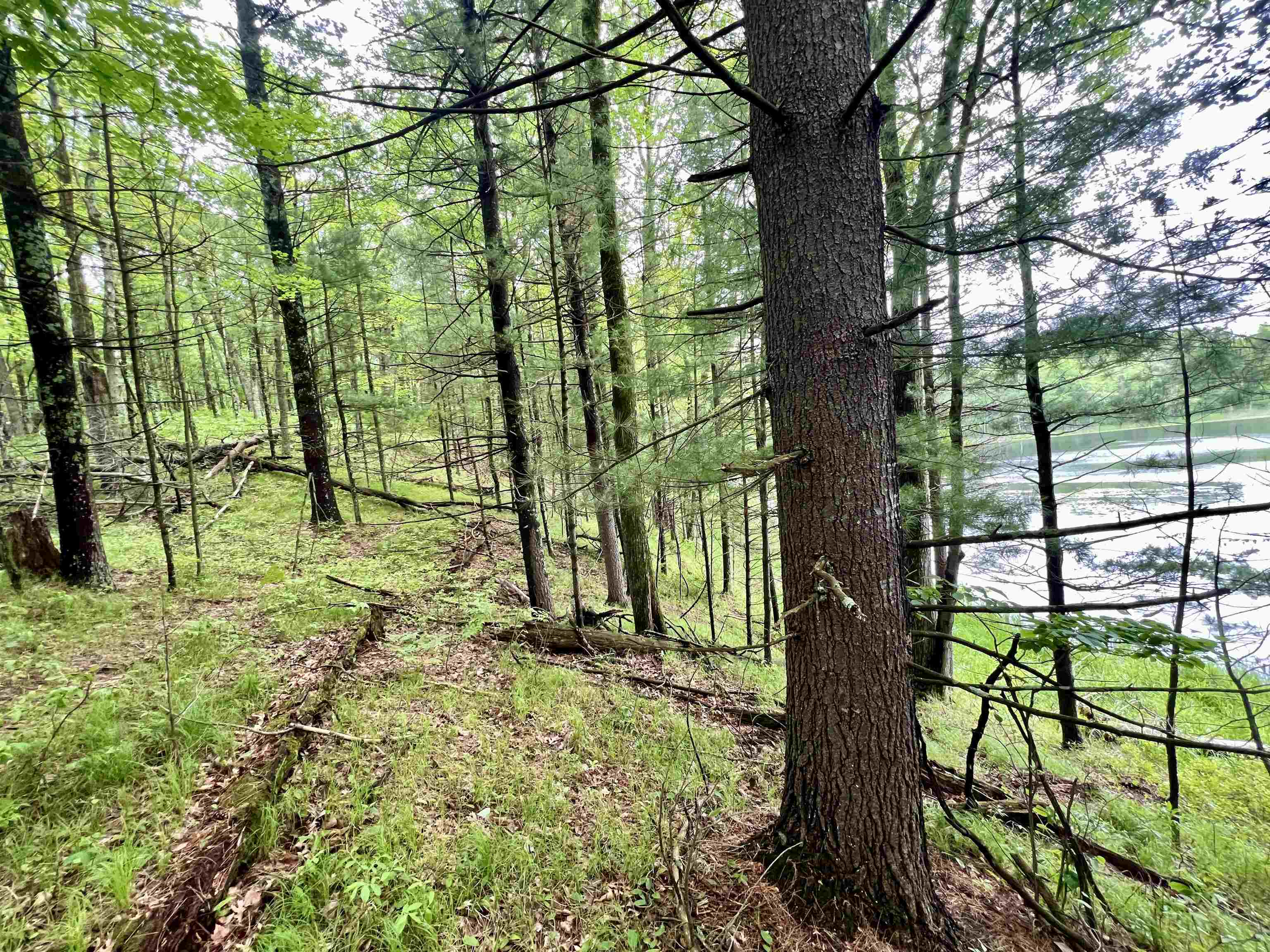 County P Road, Unit 1 Pound, WI 54161 - Photo 14 of 16