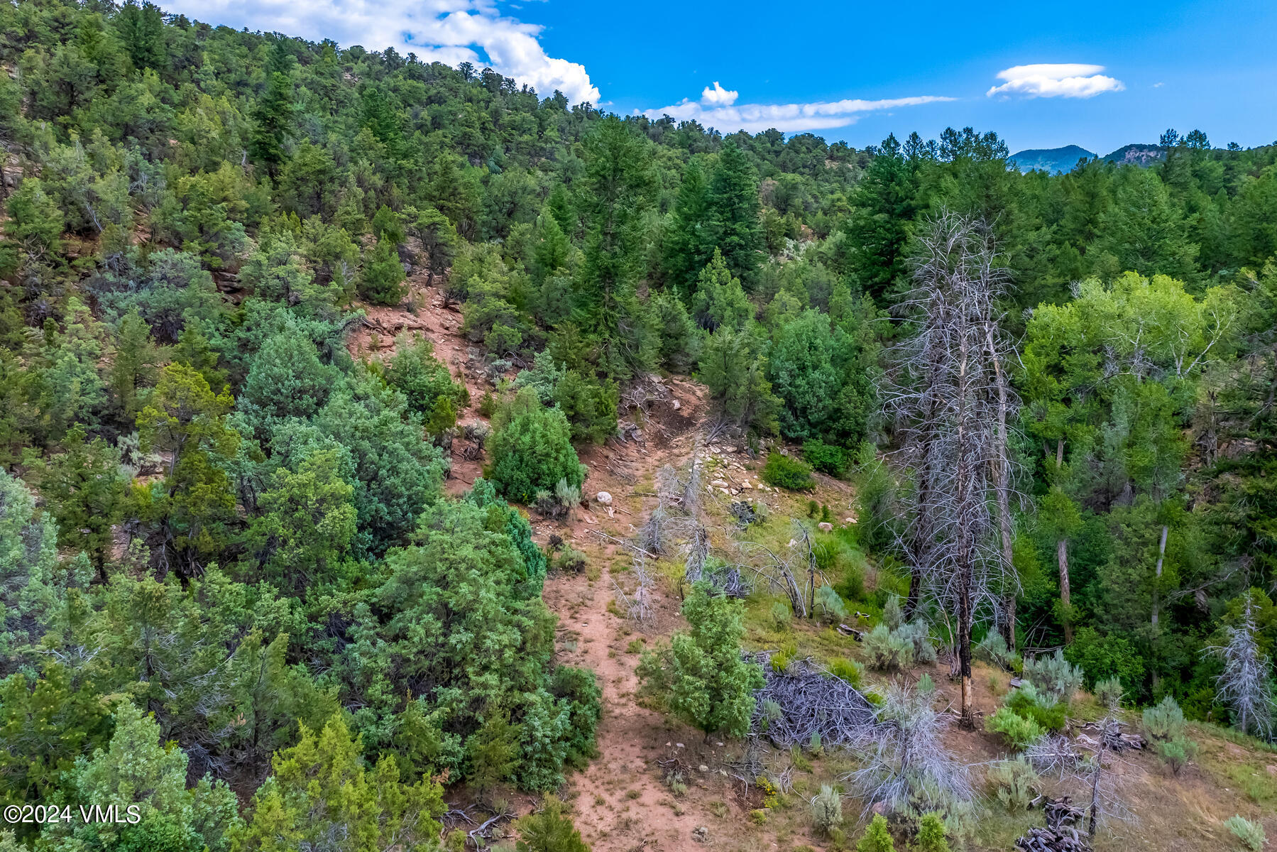 1929 Copper Spur Road Bond, CO 80423 - Photo 15 of 35 7