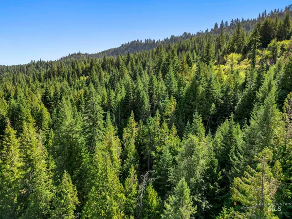 $599,000 | Nka Nka North Road, Kendrick, ID 83537