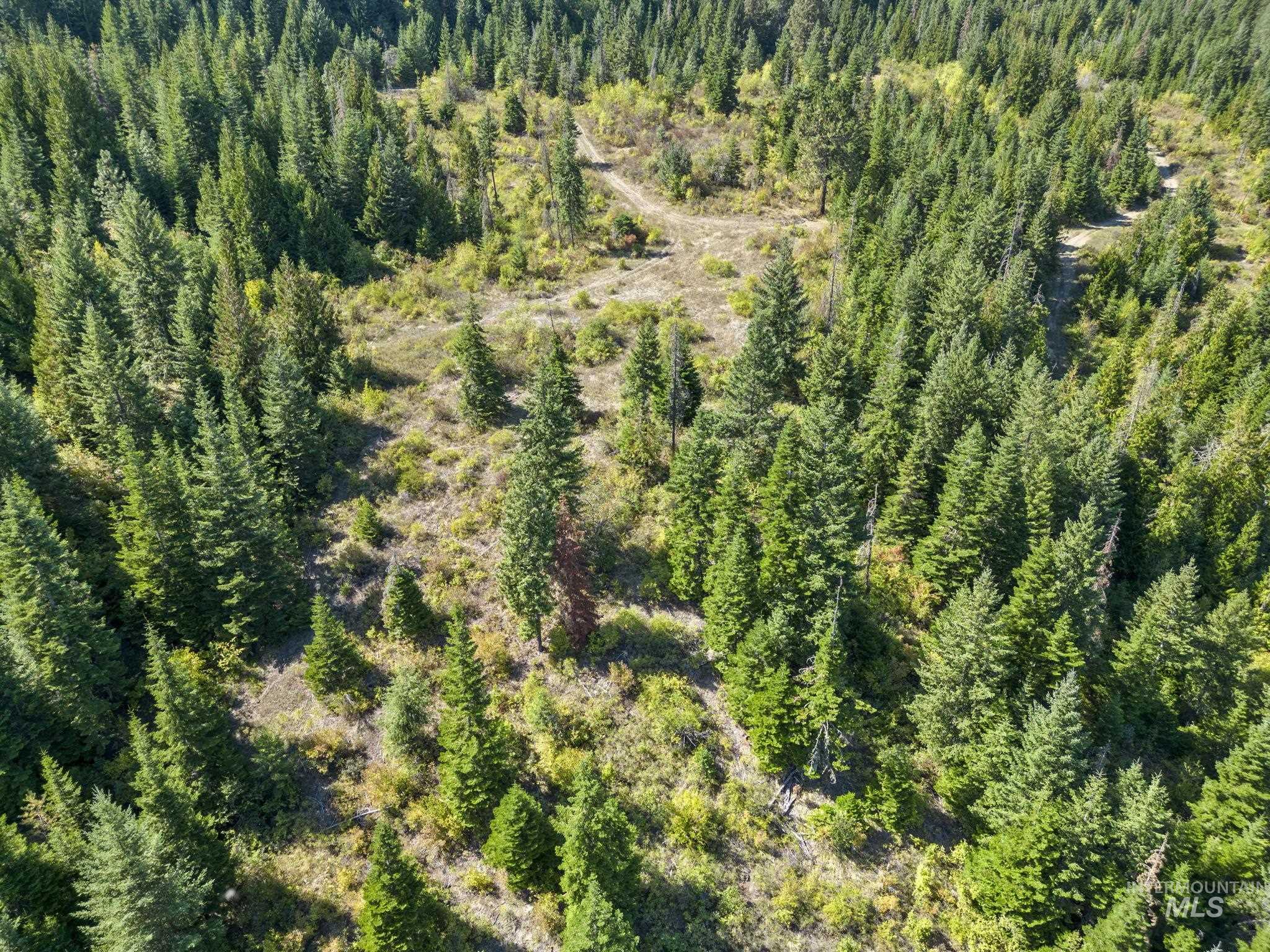 Nka Nka North Road Kendrick, ID 83537 - Photo 11 of 40 Drone / aerial view of a heavily wooded area