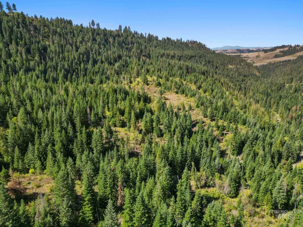 $599,000 | Nka Nka North Road, Kendrick, ID 83537