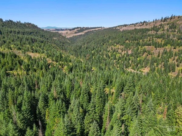 $599,000 | Nka Nka North Road, Kendrick, ID 83537