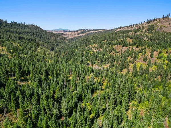 $599,000 | Nka Nka North Road, Kendrick, ID 83537