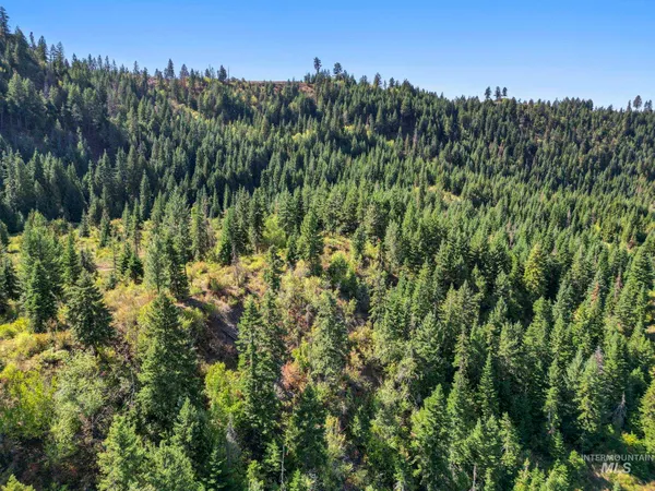 $599,000 | Nka Nka North Road, Kendrick, ID 83537