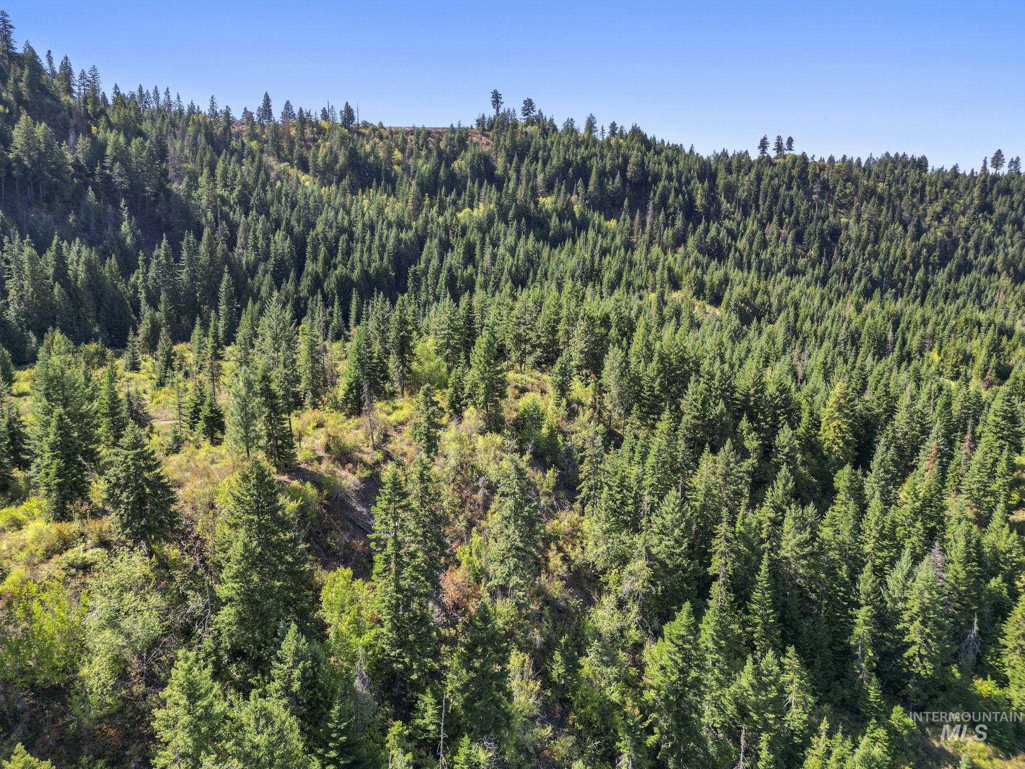 Nka Nka North Road Kendrick, ID 83537 - Photo 18 of 40 View of mountain backdrop featuring a forest