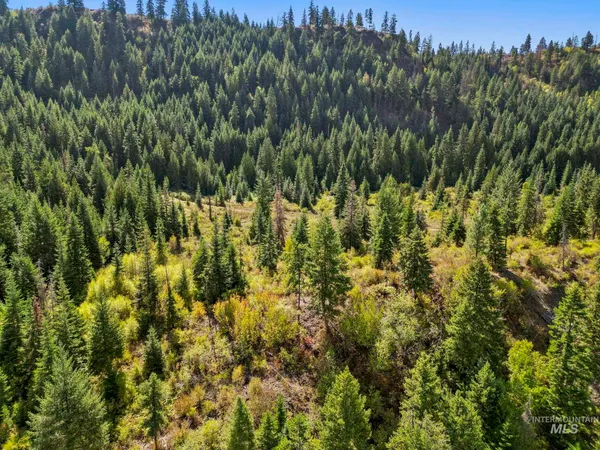$599,000 | Nka Nka North Road, Kendrick, ID 83537