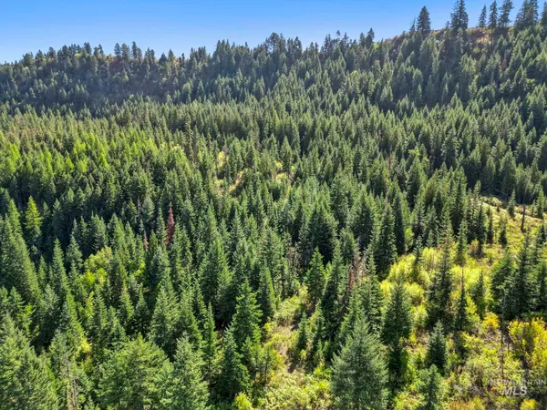 $599,000 | Nka Nka North Road, Kendrick, ID 83537