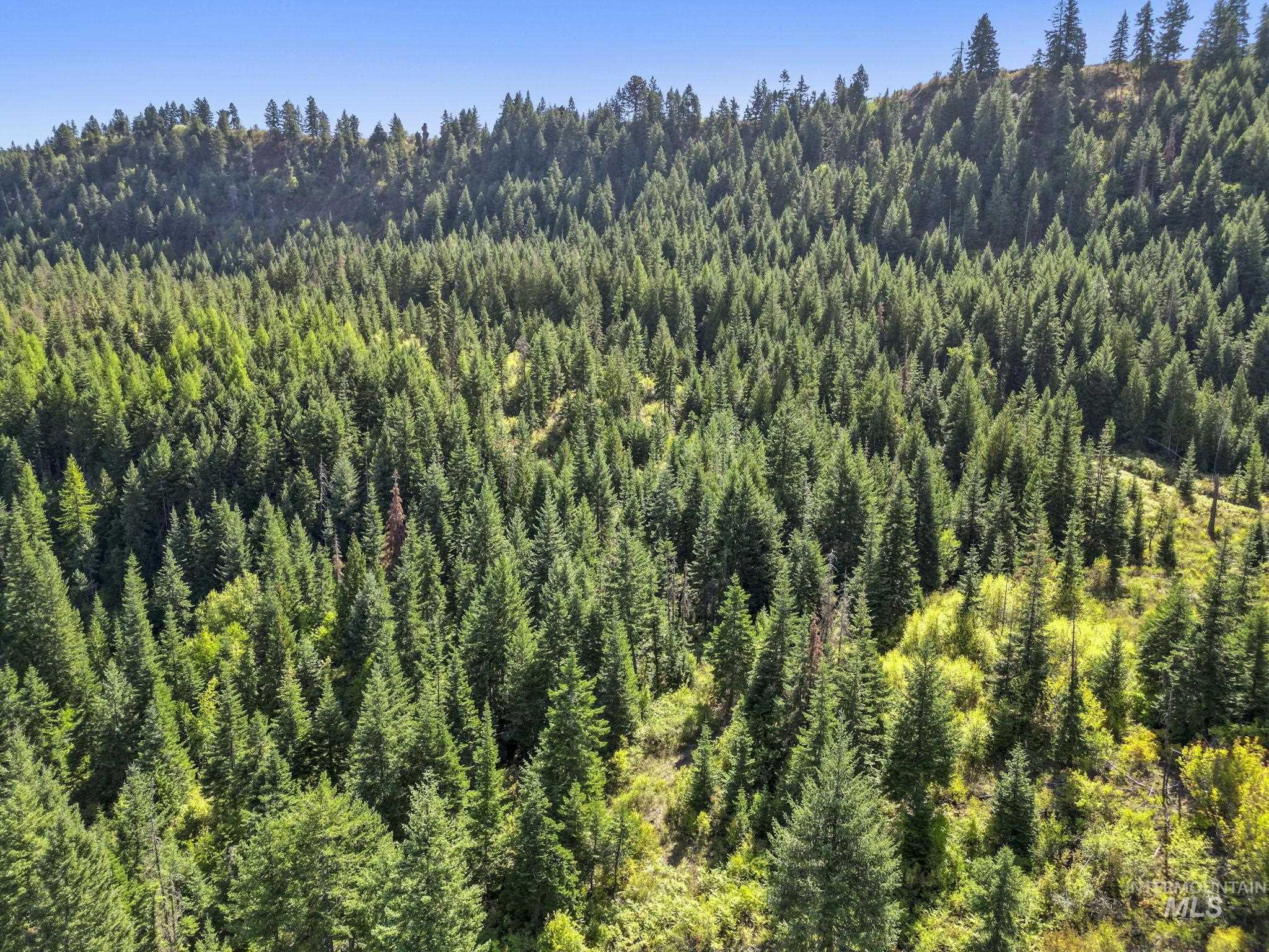 Nka Nka North Road Kendrick, ID 83537 - Photo 20 of 40 Drone / aerial view of a heavily wooded area