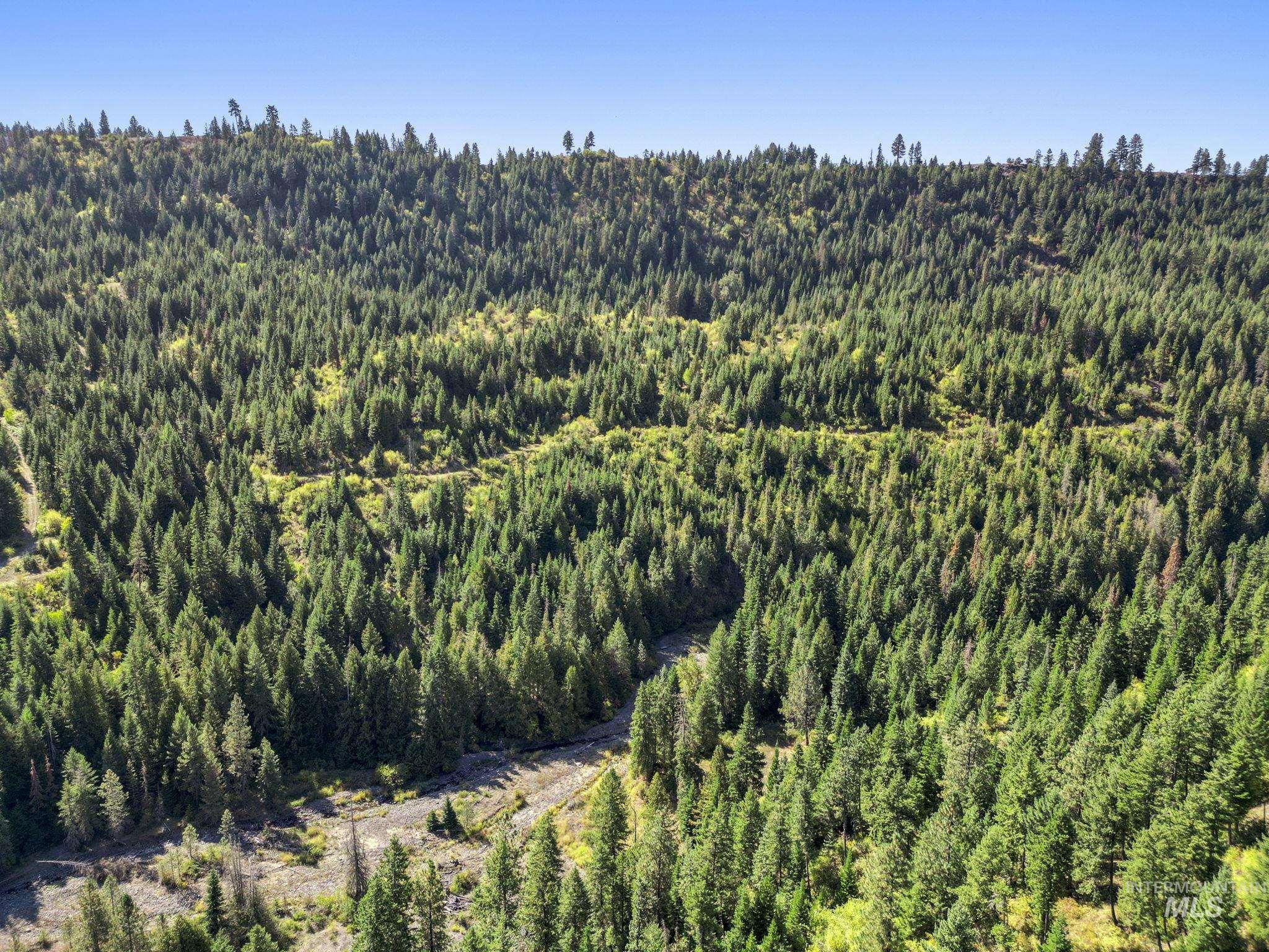 Nka Nka North Road Kendrick, ID 83537 - Photo 21 of 40 Aerial view of a forest