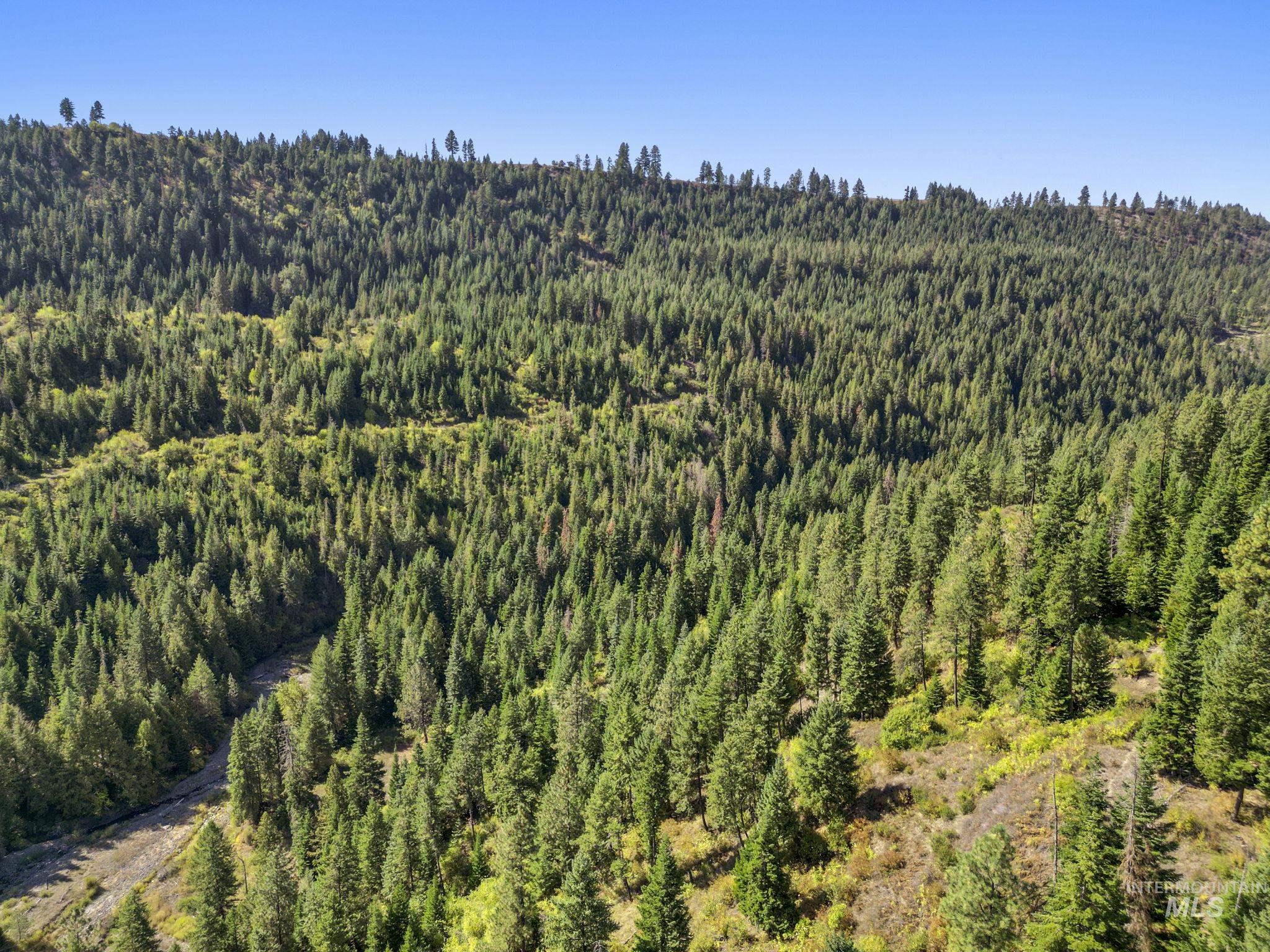 Nka Nka North Road Kendrick, ID 83537 - Photo 22 of 40 Bird's eye view of a forest