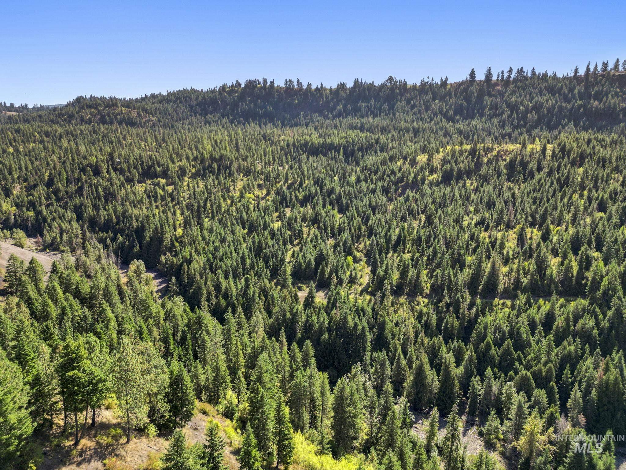 Nka Nka North Road Kendrick, ID 83537 - Photo 23 of 40 Aerial view of a forest
