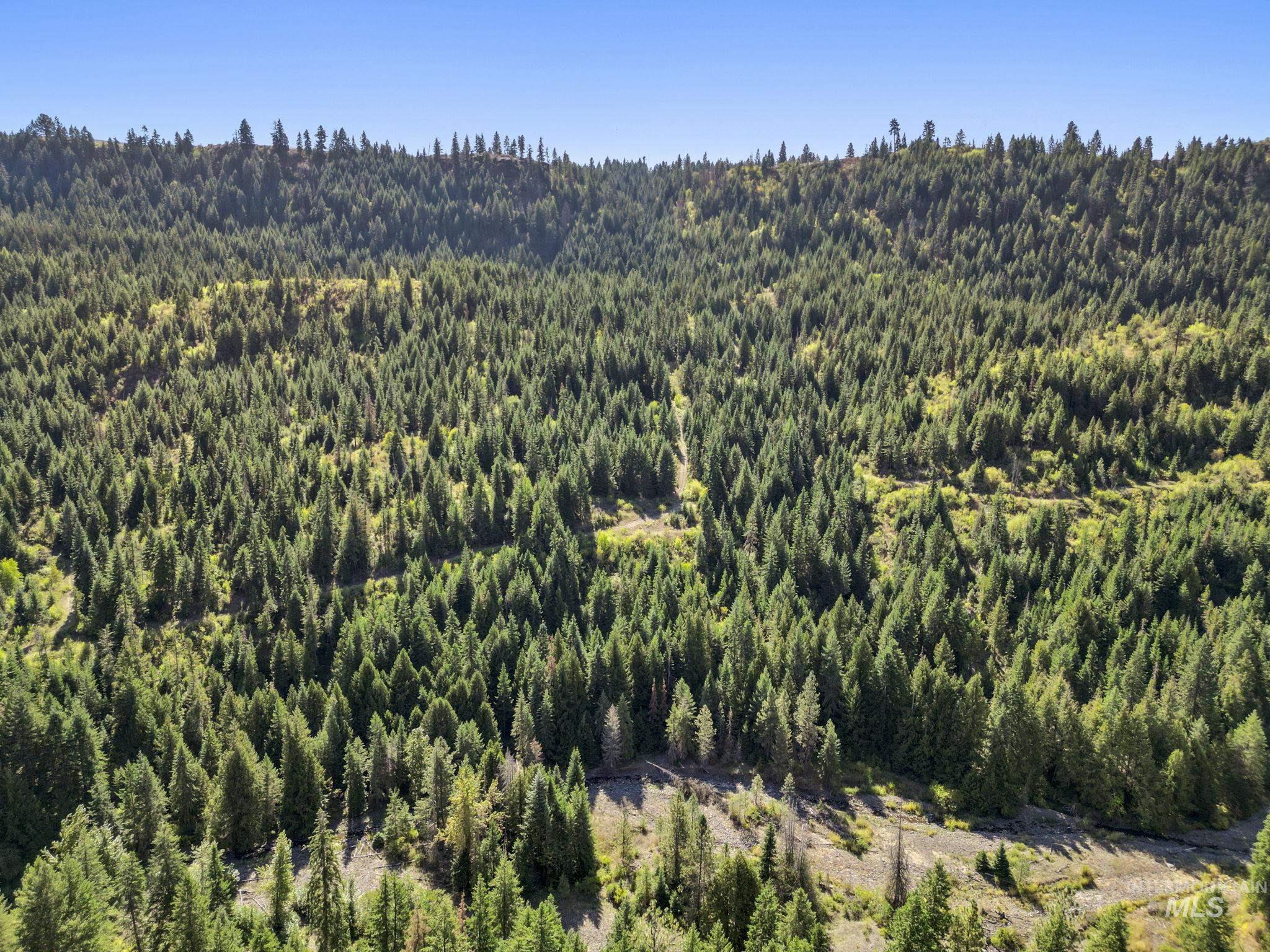 Nka Nka North Road Kendrick, ID 83537 - Photo 24 of 40 Aerial view of a forest