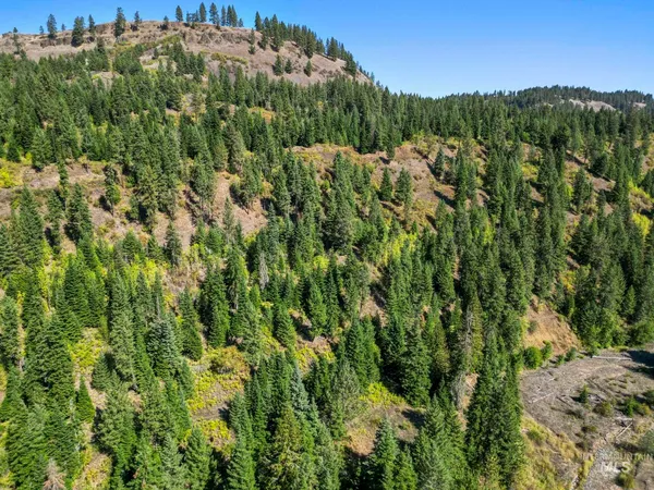 $599,000 | Nka Nka North Road, Kendrick, ID 83537
