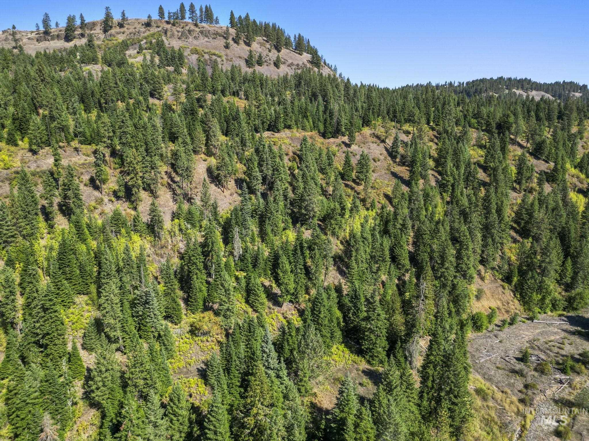Nka Nka North Road Kendrick, ID 83537 - Photo 25 of 40 Drone / aerial view of a heavily wooded area
