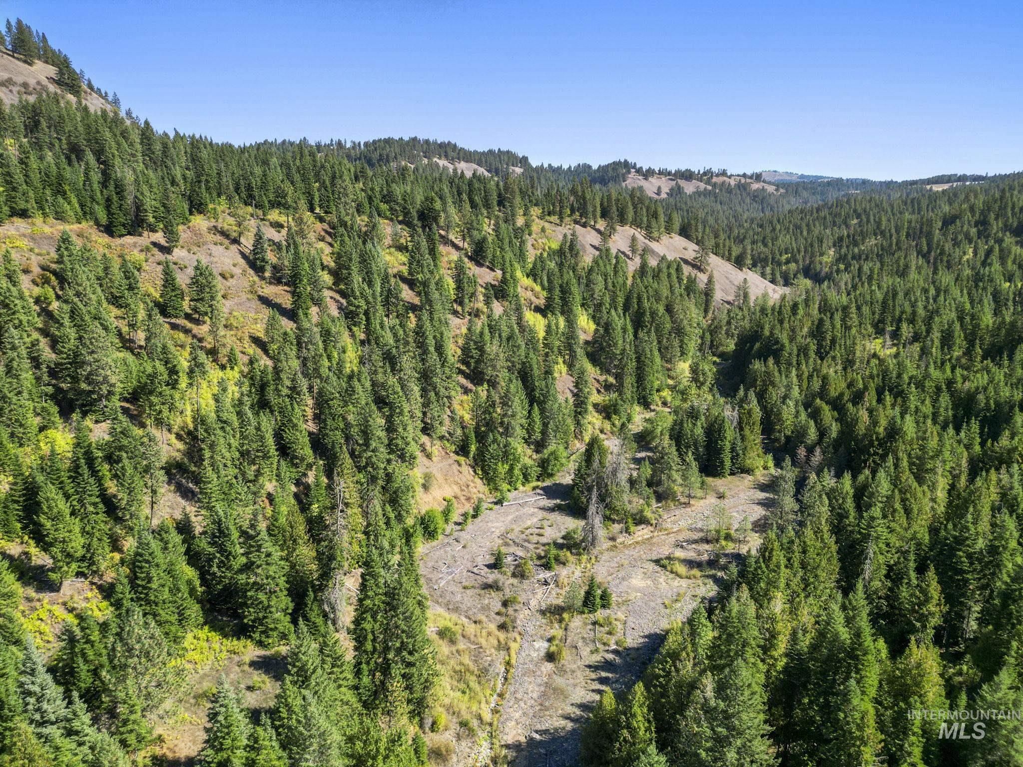 Nka Nka North Road Kendrick, ID 83537 - Photo 26 of 40 Bird's eye view of a forest