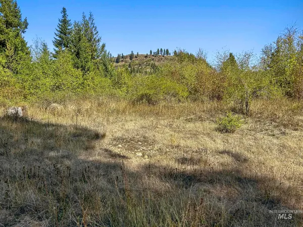 $599,000 | Nka Nka North Road, Kendrick, ID 83537